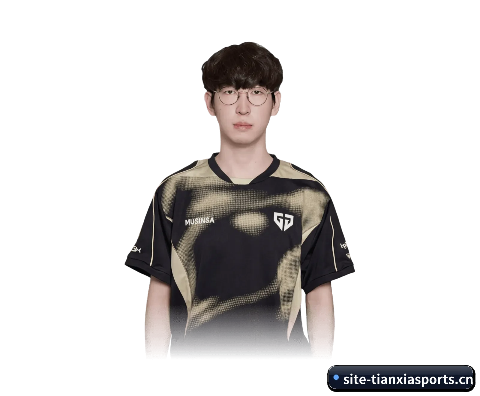 天下体育（TIANXIA SPORTS）官方网站 APP 界面
