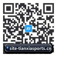苹果版 iOS 二维码